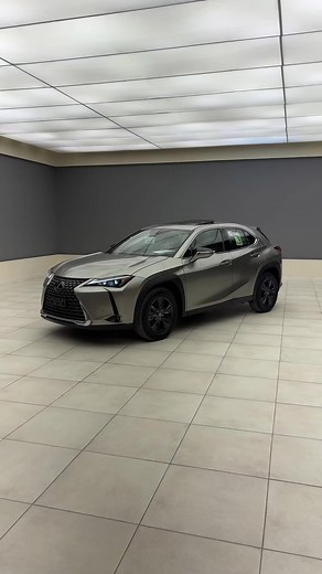 2024 Lexus UX 300H - d7oom4cars TikTok Review
