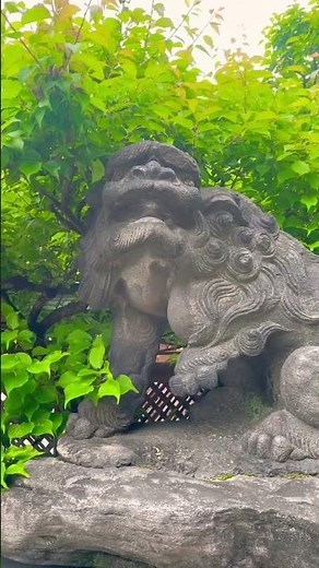 雄略天皇の代に創祀され、菅原道真公を祀る湯島天満宮。格式高い総檜造りの本殿で、合格祈願と諸願成就を力強く引き寄せる。 Sacred Wisdom: Yushima Tenmangu.