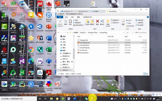 Everything文件搜索器的安装与使用