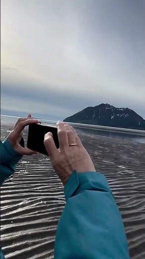 Facing the charge: a professional bear guide's bold encounter in Alaska's wilderness
