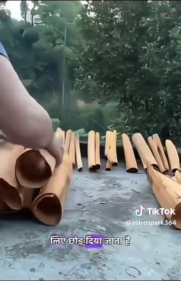 VOL CANT MISS BEF.. Spark 2,Q CINNÄMOMÜM VERUM #science #foryou #viral_video