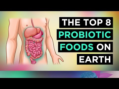The BEST 8 PROBIOTIC Foods In The WORLD