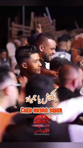 live chaoui cheb nasro sghir ماتبكيش يا جميلة♥️#chaoui #explore #تيك_توك #batna #الأوراس #follow #dz