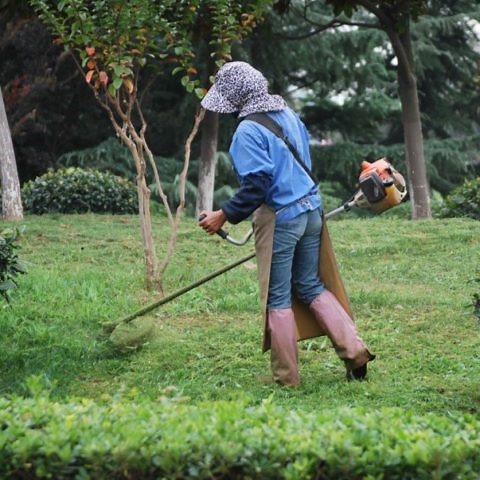 Lawn Mower Vs Trimmer: What to Use 25 Things You Should Know