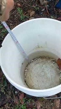 加西ぶどう農園 待望の雨＆恵みの雨