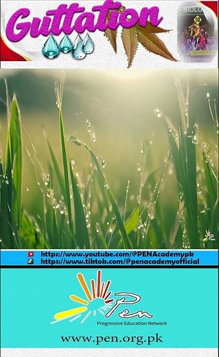 Guttation I Homeostasis in Plants I Homeostasis lecture 12 I #BIOLOGY #penacademy