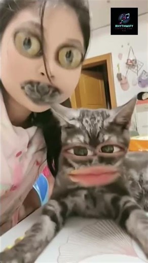 Cats + Filters = Pure Chaos 😂🐾 | Funniest Cat Filter Moments