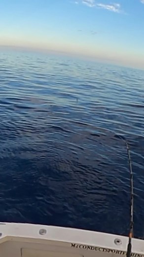 Exciting Charter Fishing Adventures in Hawaii