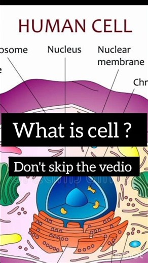 What Is a Cell? 🔬🧬 | The Basic Unit of Life #education #learning