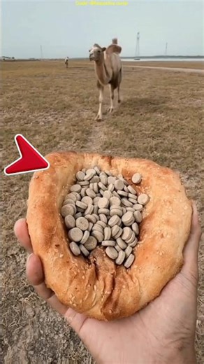 Smart Way to Give Medicine to a Horse 🐎😲 #shorts