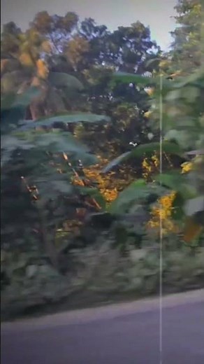 #IslamicWaz#BanglaWaz#IslamicMahfil#WazMahfil#IslamicLecture#BangladeshWaz#QuranAndSunnah#Islam