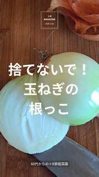 捨てないで！玉ねぎの根っこ #家庭菜園 #リボべジ #玉ねぎ