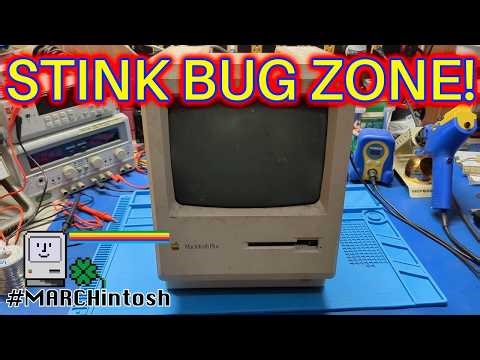 Macintosh Plus: You won't believe what was living inside...