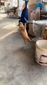 Work hard, rest harder. | Rotten Queen Cosplay | Facebook