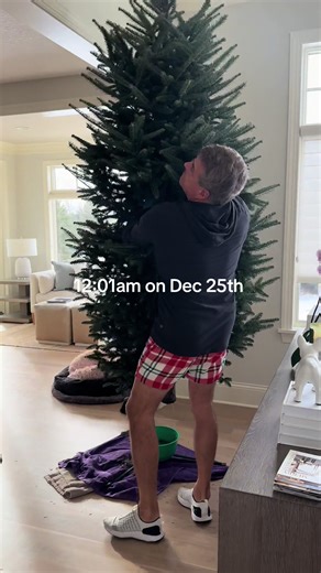 The grinch has entered the chat #rip #grinch #emptynesters #christmas | grinch