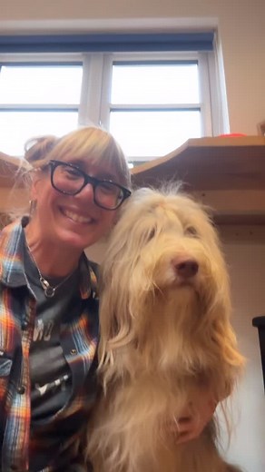 46 reactions · 7 comments | Scruffy Dog Silver on Reels | Facebook