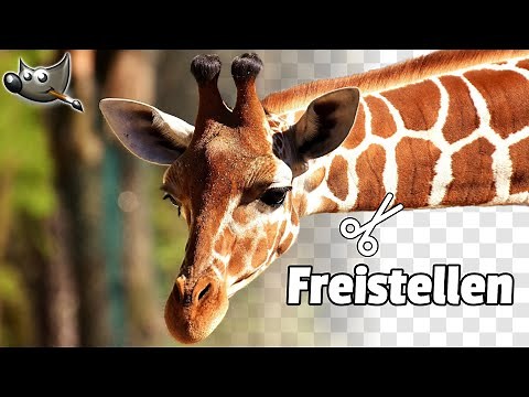 Cutout / Isolate - Transparent Background | GIMP 2.10 Tutorial German