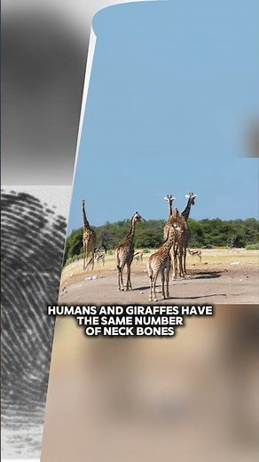 10 Strange But True Facts From Around the World 🌎