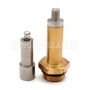 [Hot Item] Solenoid Armature Plunger For LPG CNG Reducer Pressure Regulator LPG/CNG Solenoid Valve Conversion Kit