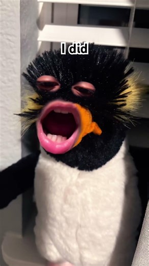 Penguin, why you put the muffins in the freezer?