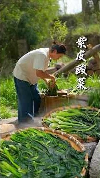 Delicious Fish with Spinach Recipe | Traditional Chinese Style Cooking
