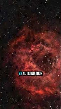 Bottom-up processing and autism #autism #adhd #processing #bottomup #topdown