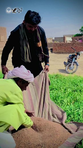 Fertilizing Green Fields: A Step-by-Step Guide