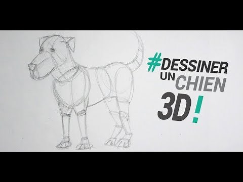 DESSINER UN CHIEN EN 3D : TECHNIQUE DE BASE POUR DESSINER EN VOLUME
