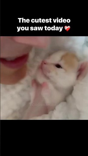 This video will brighten your day