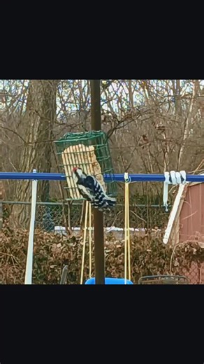 FlatEarth11111 (@flatearth11111)’s videos with Annihilation theme - ☽ 𝔩𝔦𝔱𝔱𝔩𝔢𝔴𝔦𝔱𝔠𝔥 ☾