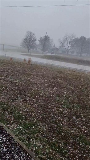 Browns, IL (Edwards County) 2/19/26: Marble-size hail falling from a strong storm along IL Route 15 around Noon Thursday. Courtesy of Penny Willman Morse. | Wayne Hart