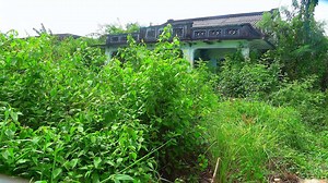 69K views · 1.4K reactions | Uncovering and Cleaning Up the Secrets of a House Abandoned for 20 Years P1 #clean #cleaning #cleaninghouse #cleaningteam #housekeepingteam #deepcleaning #satisfyingcleaning #cleaningasmr #cleanwithme #satisfying #cleaningmotivation #cleaninghacks #cleaningtips #cleaningszn #cleanfreshhype #cleanclearconfident #fyp #freecleaning #motivation #viralpost #asmrcommunity | Clean The Old House | Facebook