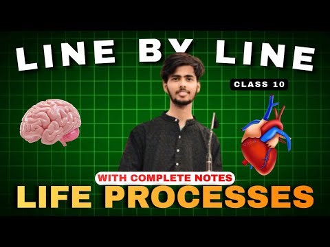 Life Processes Class 10 Biology | Chapter 5 CBSE | Easy Explanation