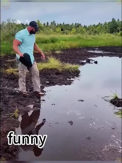 Innovative and Funny Robot Moments in Bali