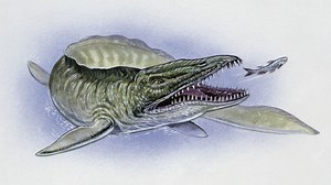 Evidence of 30-foot ancient sea monster found