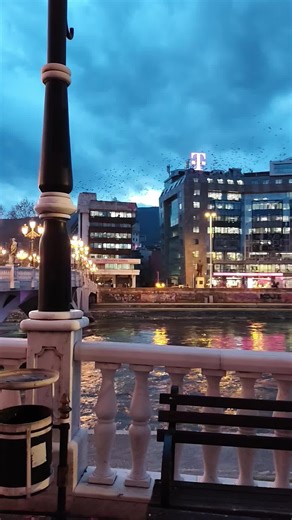 Ωραια η πλατεια πλακοστρωτη με τα τεραστια αγαλματα που υπαρχουν σε ολο το κεντρο χμ της πλατειας. Ωραια μαγαζια στην περιοχη και βεβαια η γεφυρα που σε παει στην παλια πολη! Ξεκινοντας απο την κεντρικη πλατεια εχεις την δυνατοτητα να δεις ολα τα ιστορικα κτηρια της περιοχης γιατι η αποσταση ειναι μικρη πολυ κοντα ειναι η παλια πολη και τα τειχη της πολης καθως και το ποταμι που διασχιζει την πολη και με πολυ ωραιες γεφυρες ενωνει την παλια πολη με την νεα!!! #skopje #foryou #visit #northmacedon