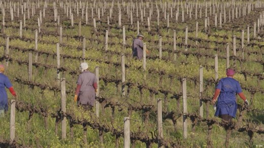 How South Africans see land reform