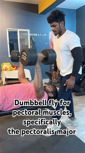 dumbbell fly workout for pectoral muscles, specifically the pectoralis major l #gym #fitness