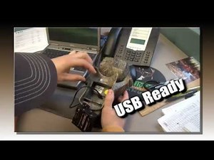 Primos Turbo Dogg.mp4