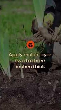 Mulch Your Secret to Saving Water Efficiently #garden #hack #agriculture