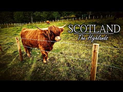 THE HIGHLANDS | Exploring the Most Beautiful Country on Earth | 4k SCOTLAND