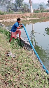 pond to Ponds siphoning system #reelsinstagram #instagram | Fish Info