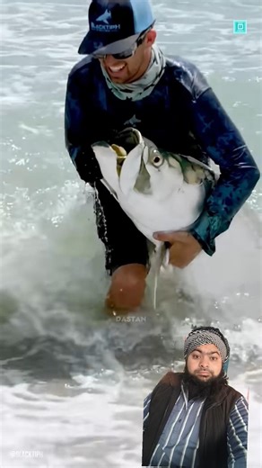 Giant Tarpon Fish😱.#facts#viral#trending #youtubeshort#fypyoutube#trendingshorts #shortsfeed