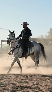 178K views · 12K reactions | Leading the way with experience and dedication. Our Horse Patrol academy instructor in action, upholding our traditions and training the next generation. | US Border Patrol, Tucson Sector | Facebook