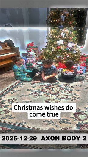 Christmas wishes do come true #christmascat #dreamscometrue #christmaspresents #catsoftiktok