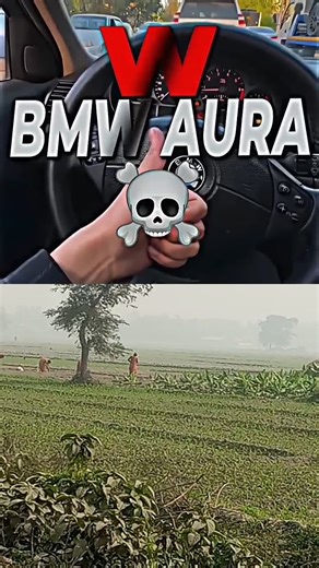 BMW vs Tesla #automobile #gta #fivem #tesla #bmw #edit #crashdrive #supercar #funny #realwaystomakem