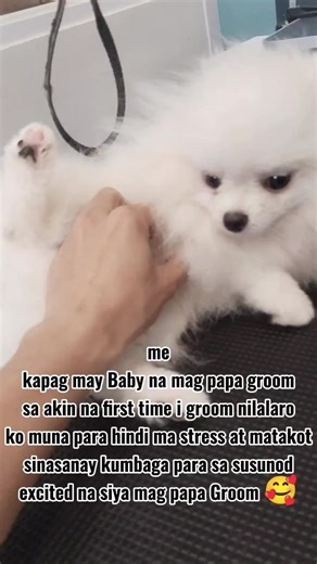 Makikipag laro muna tayo para ma excite siya sa susunod na Groom 🥰 #mayro