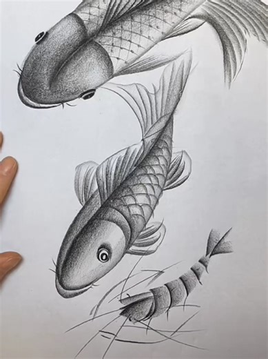 How To Draw With a Pencil