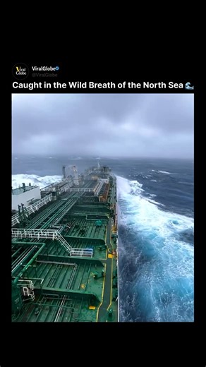 ViralGlobe on Instagram: "🌊 The North Sea isn’t just an ocean — it’s one of the most unpredictable and powerful waters on Earth. Located between the UK, Norway, Denmark, Germany, the Netherlands and Belgium, the North Sea is famous for its sudden storms, fierce winds, towering waves and extreme winter conditions. The combination of shallow waters, fast-changing weather and strong tidal forces creates waves that can turn deadly within minutes. These massive waves have challenged fishermen, sailo