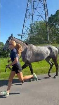 Carrhill (IRE) - HORSE IN TRAINING - Getaway (GER) ex Simonia (IRE)